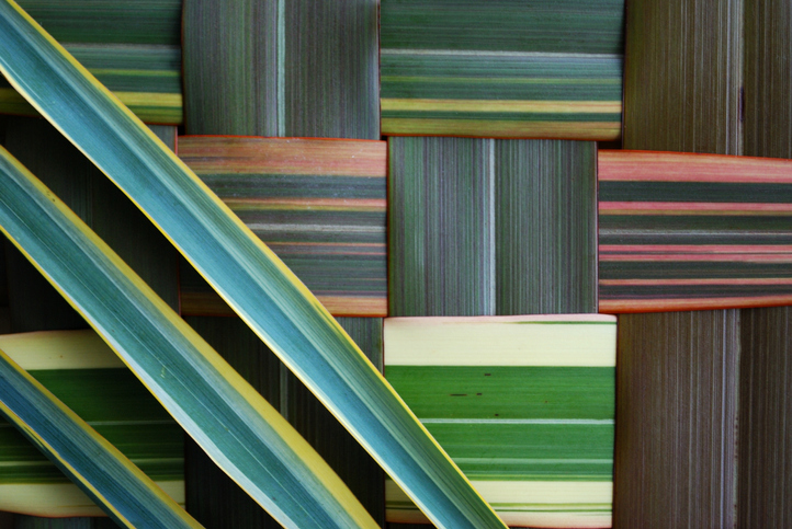 Women’s entrepreneurship in the Pacific post-COVID image