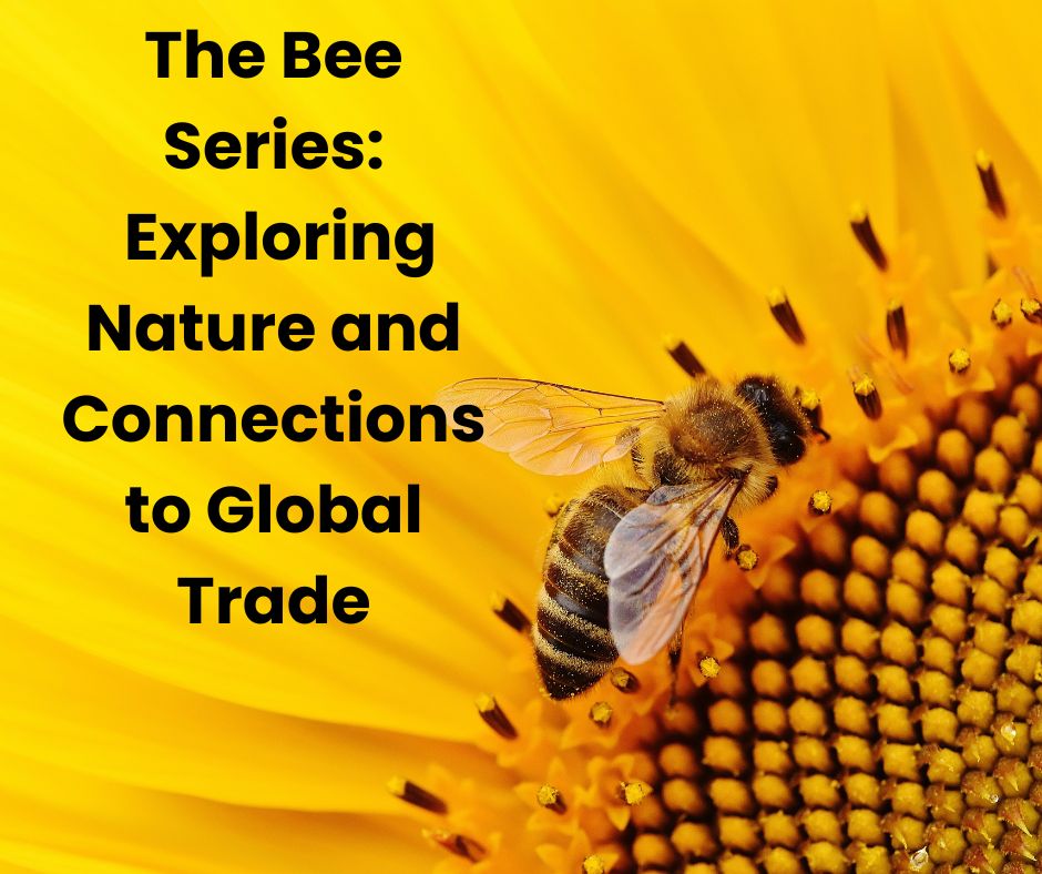 The Bee Series: Exploring Nature and Connections to Global Trade