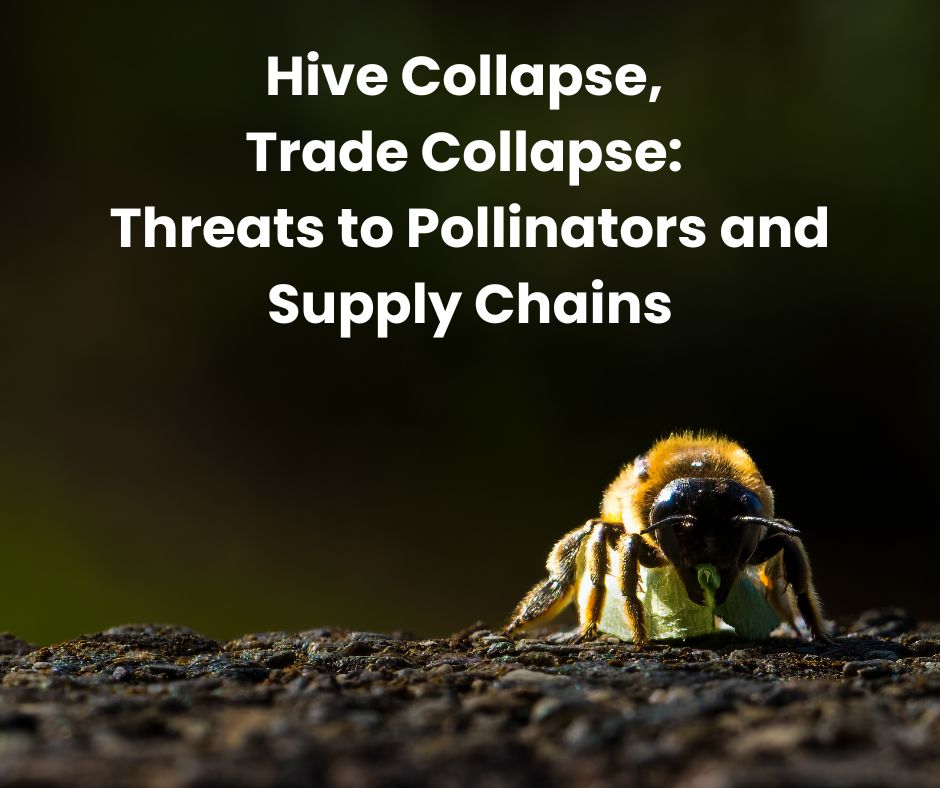 Hive Collapse, Trade Collapse: Threats to Pollinators and Supply Chains