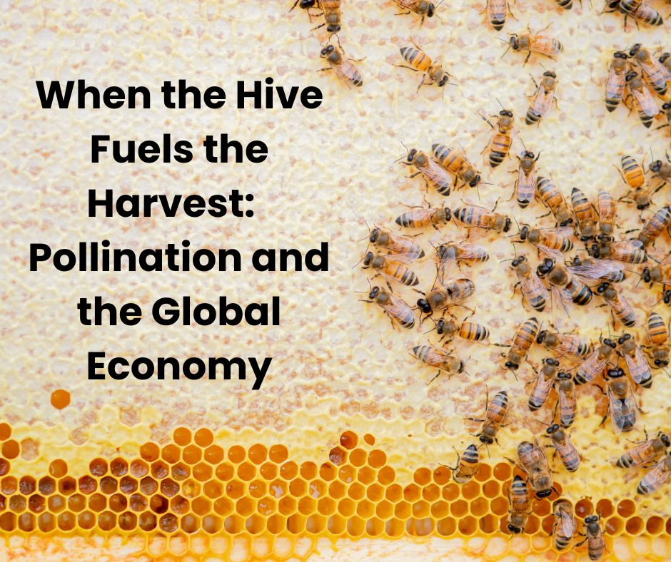 When the Hive Fuels the Harvest: Pollination and the Global Economy