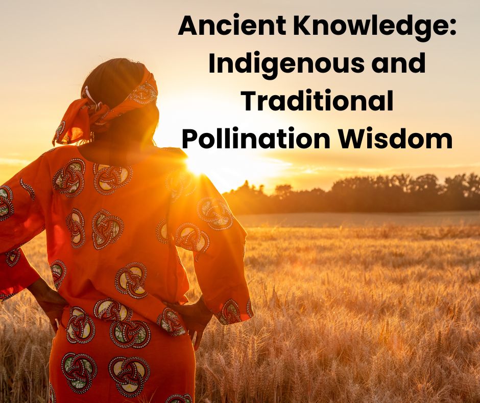 Ancient Knowledge: Indigenous and Traditional Pollination Wisdom