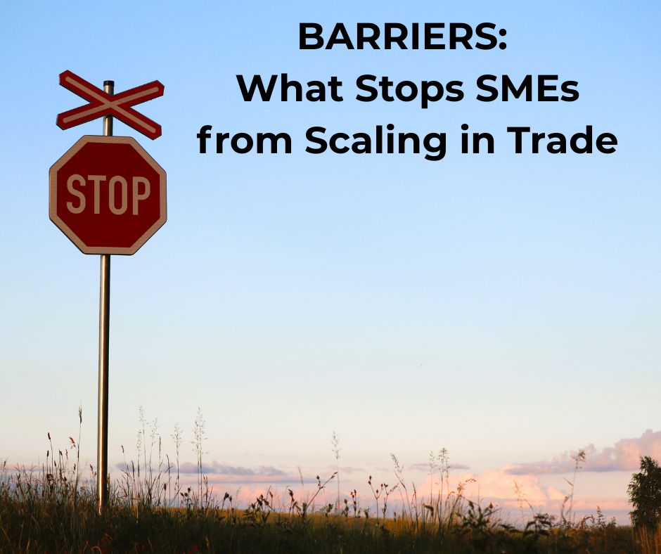Barriers: What Stops SMEs from Scaling in Trade