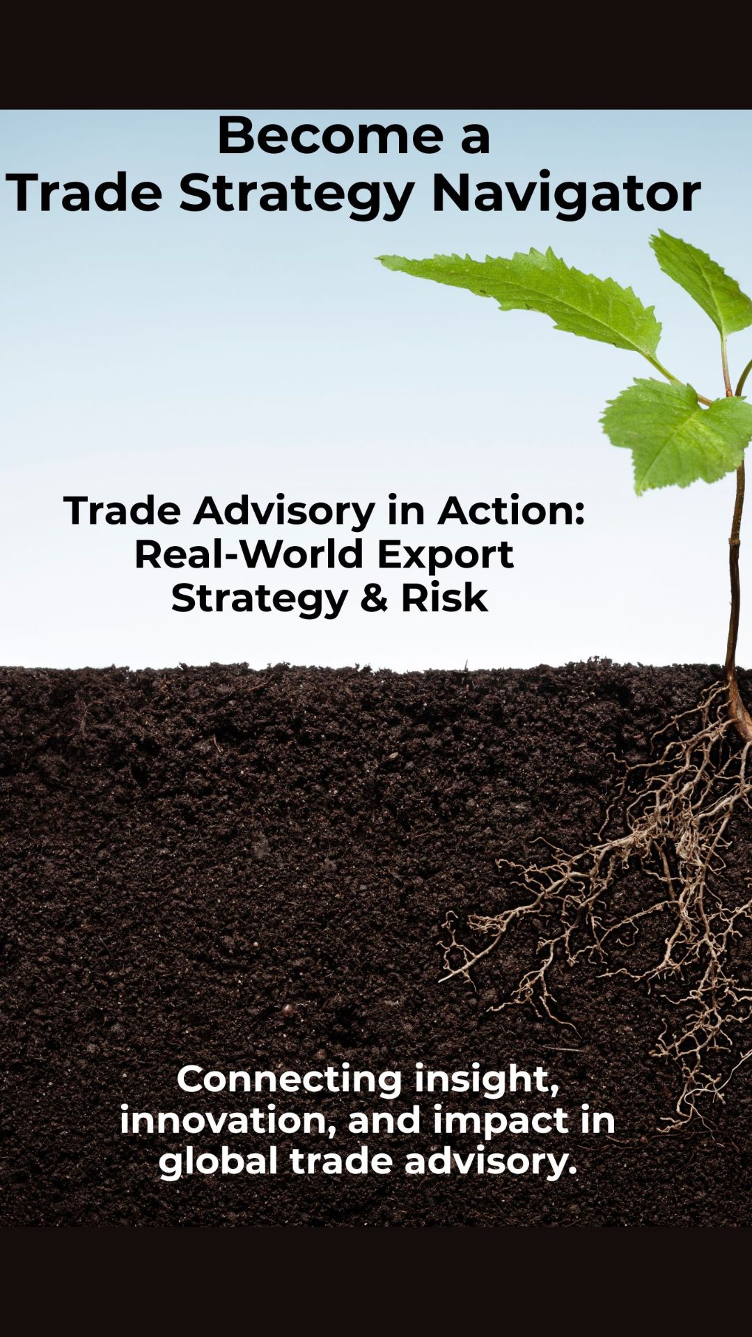 Building Capability for a Changing Trade Environment