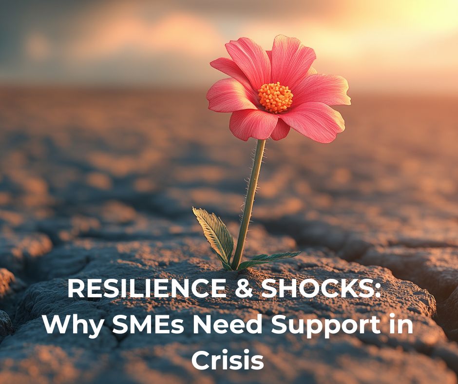 Resilience & Shocks: Why SMEs Need Support in Crisis