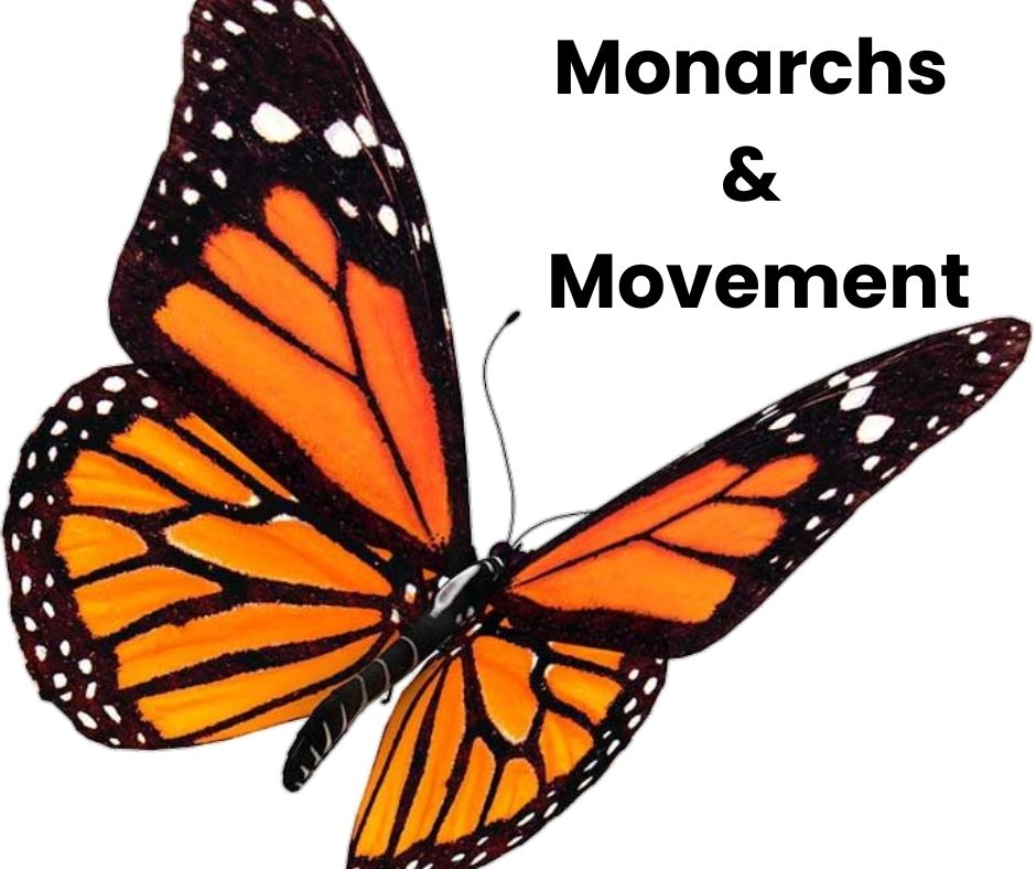 Migrants and Monarchs: How Movement Sustains the World